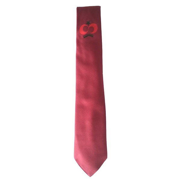 Shaukat Khanam Lab Tie