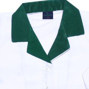 Army Public School A-line Frock Half Sleeve - Girl